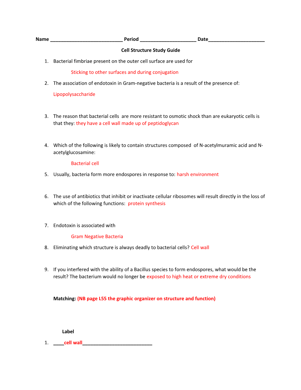 Cell Structure Study Guide