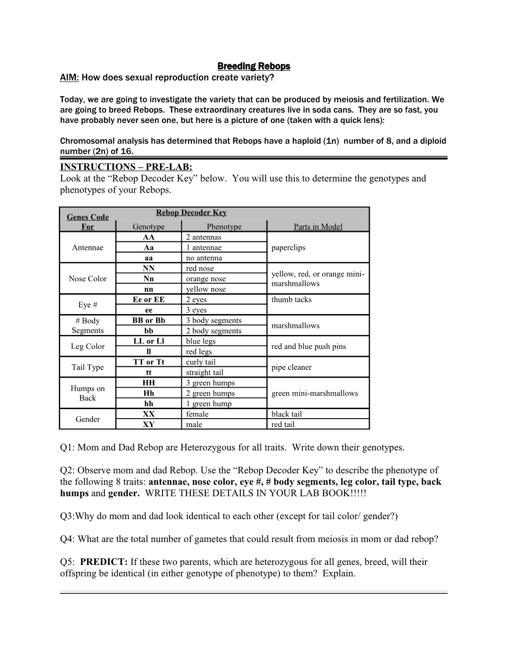 Pre-Activity: When Observing the Mother and the Father Reebop, Students Have Table With