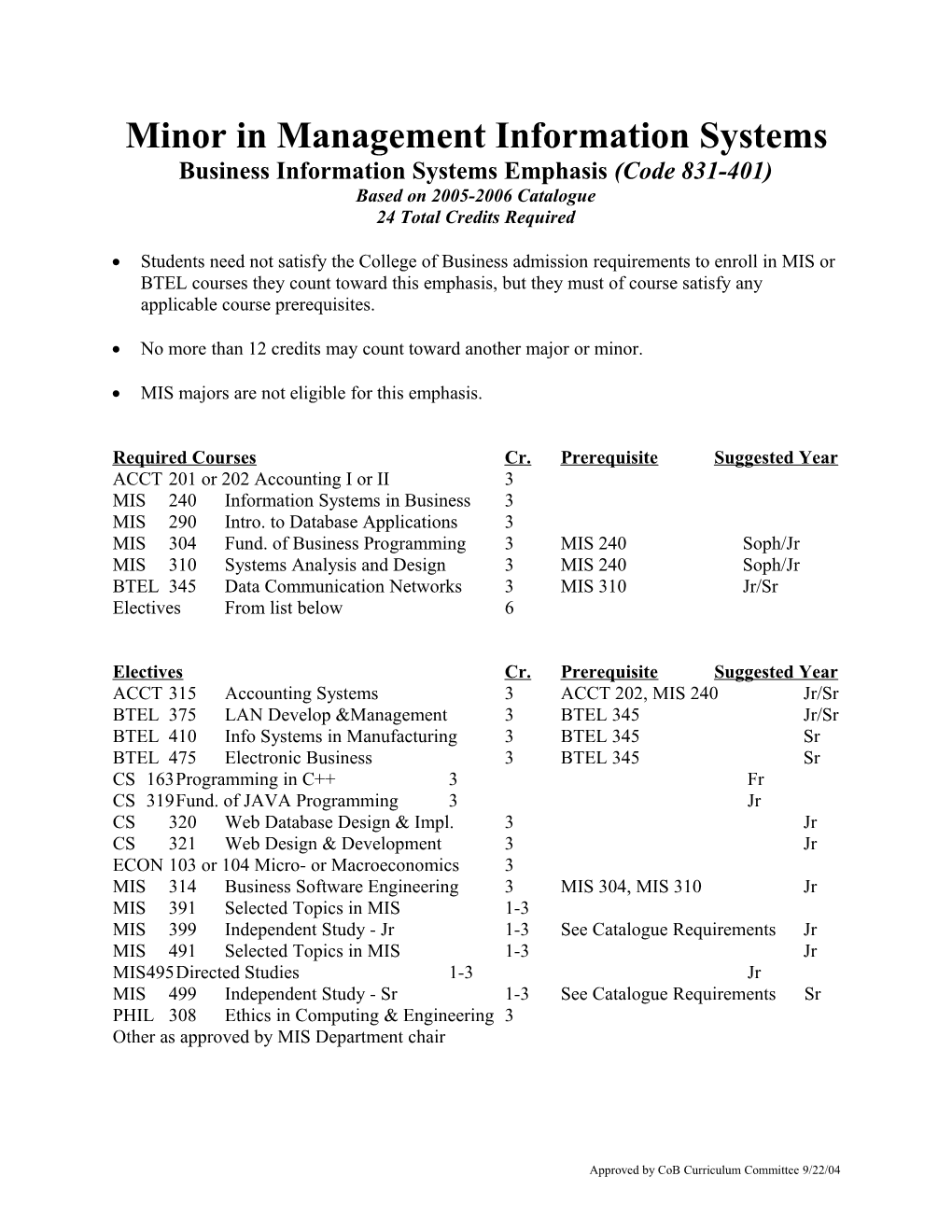 Minor in Management Information Systems