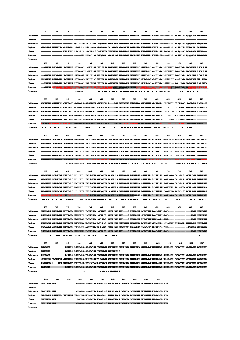 Fig. S2the Multiple Amino Acid Sequences Alignment of NKCC