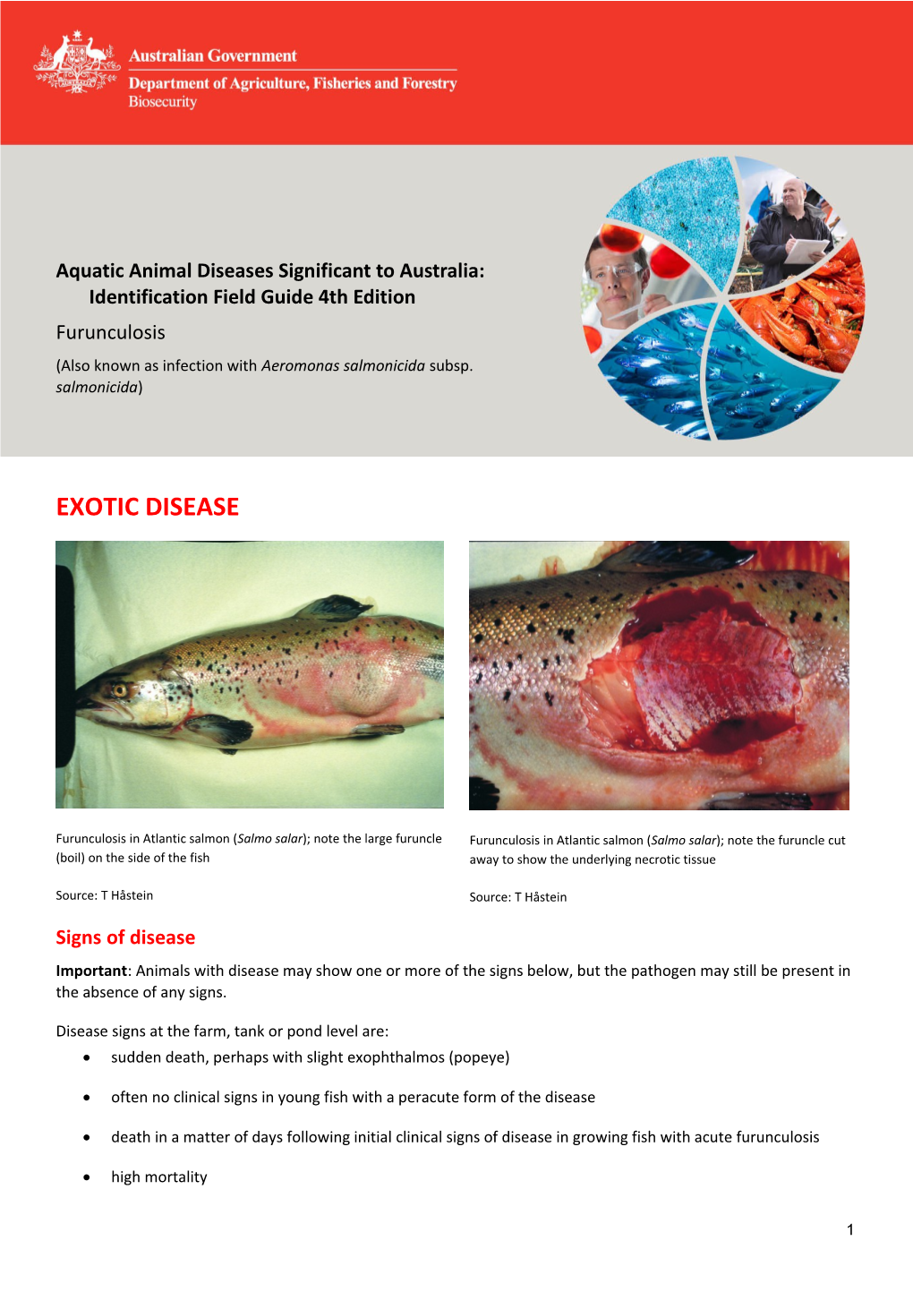 Aquatic Animal Diseases Significant to Australia:Identification Field Guide 4Th Edition