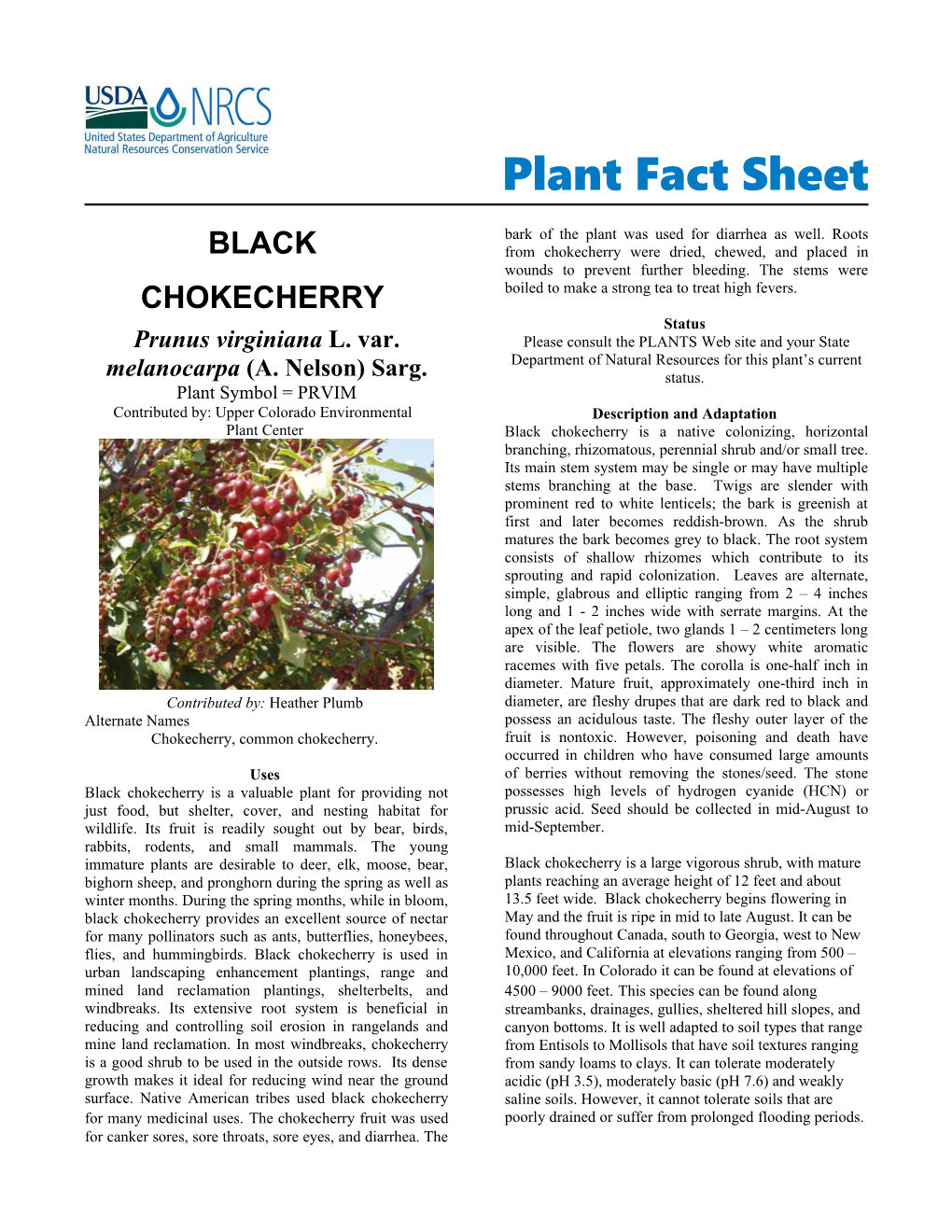 Plant Fact Sheet Black Chokecherry