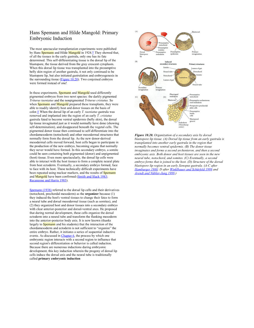 Hans Spemann and Hilde Mangold: Primary Embryonic Induction