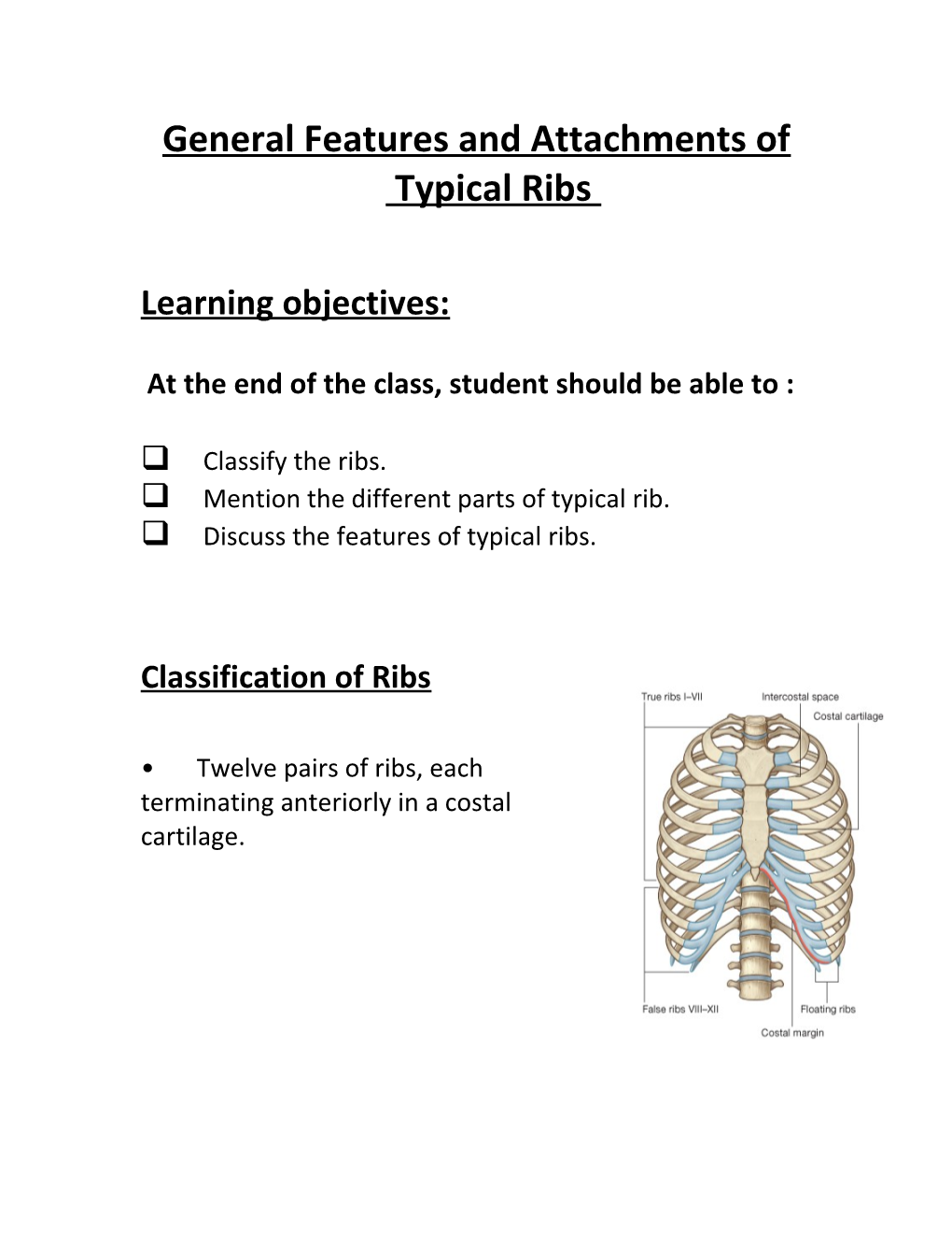 General Features and Attachment Of