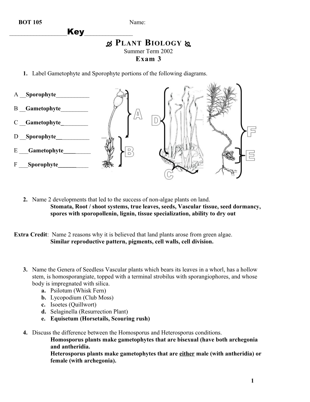 Plant Biology