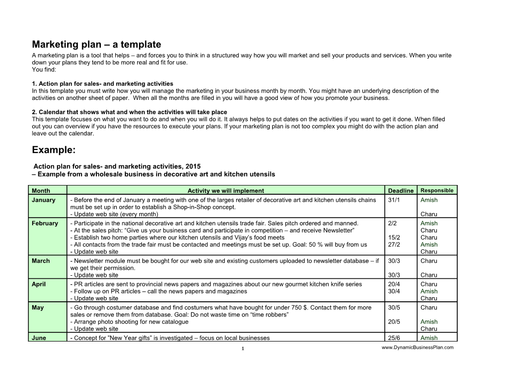 1. Action Plan for Sales- and Marketing Activities