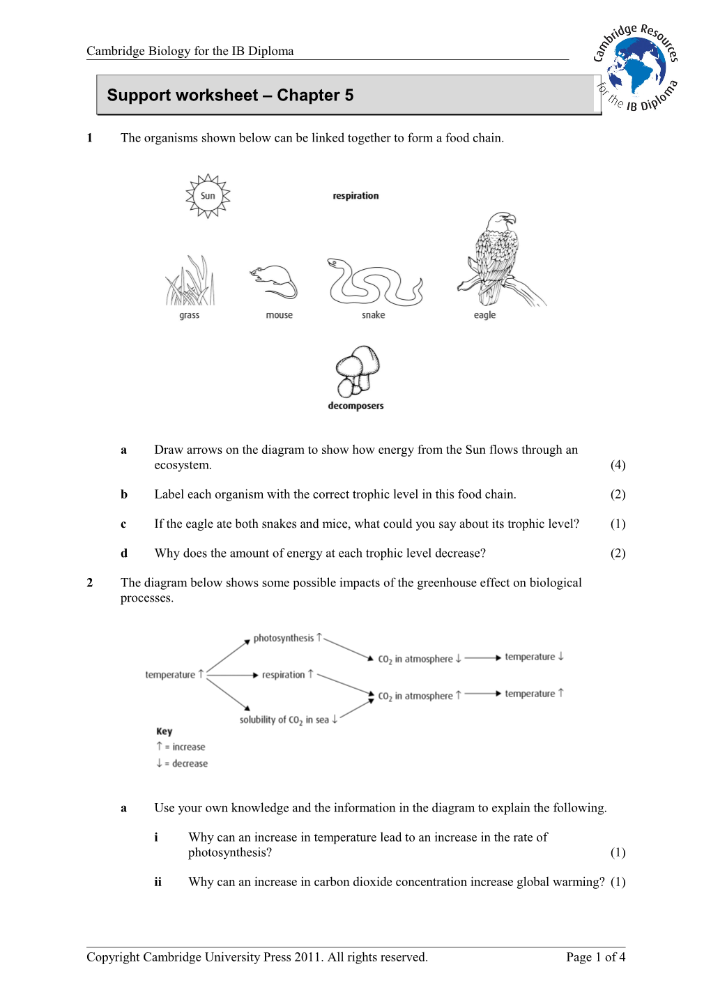 Support Worksheet Chapter 5