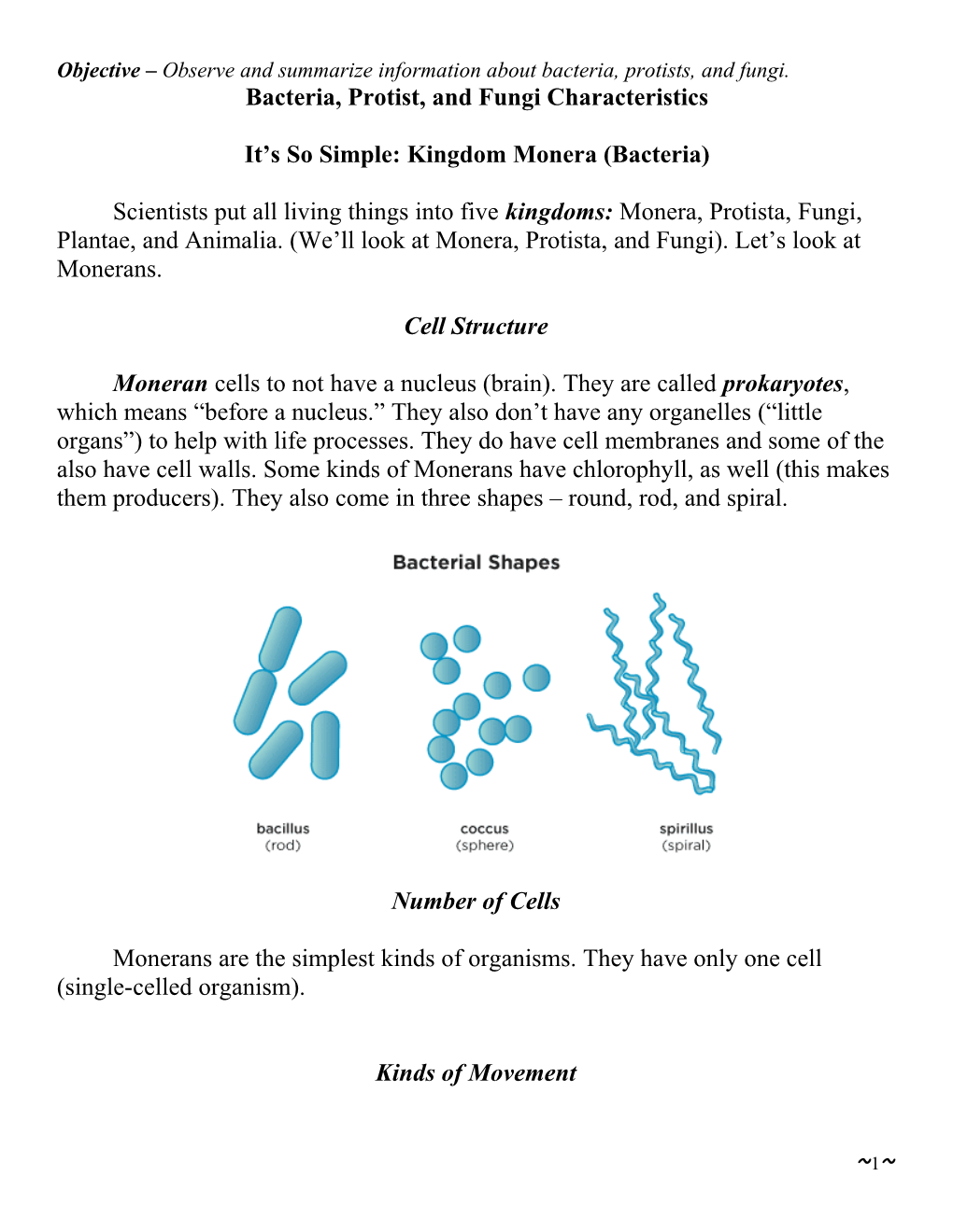 Bacteria, Protist, and Fungi Characteristics