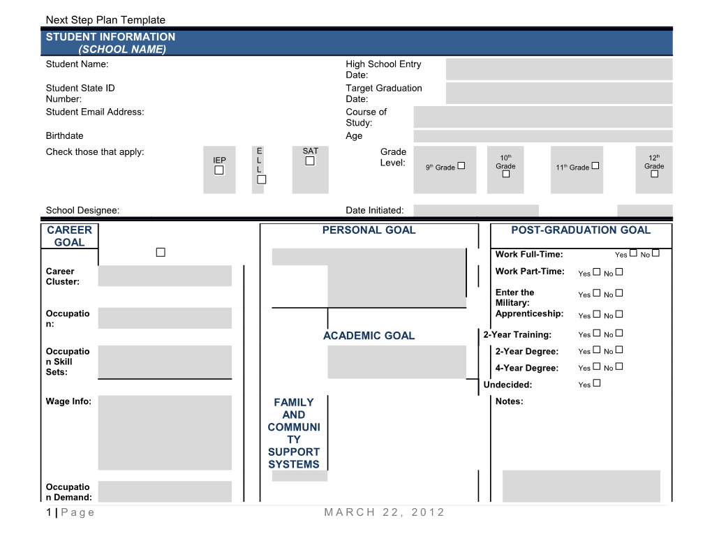 Next Step Plan Template