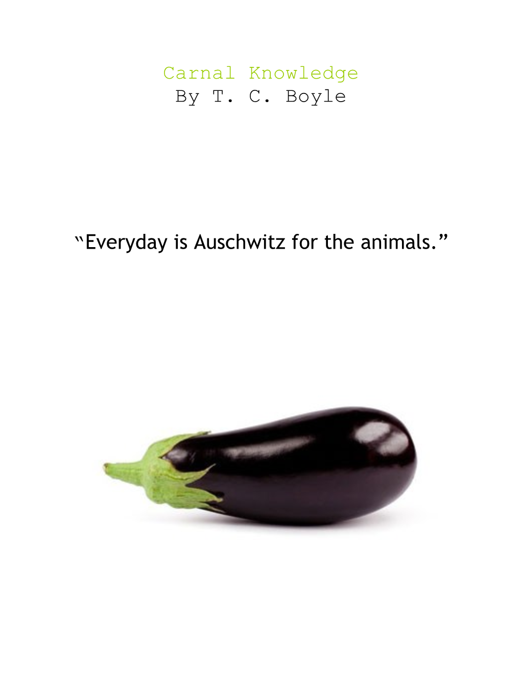 Everyday Is Auschwitz for the Animals