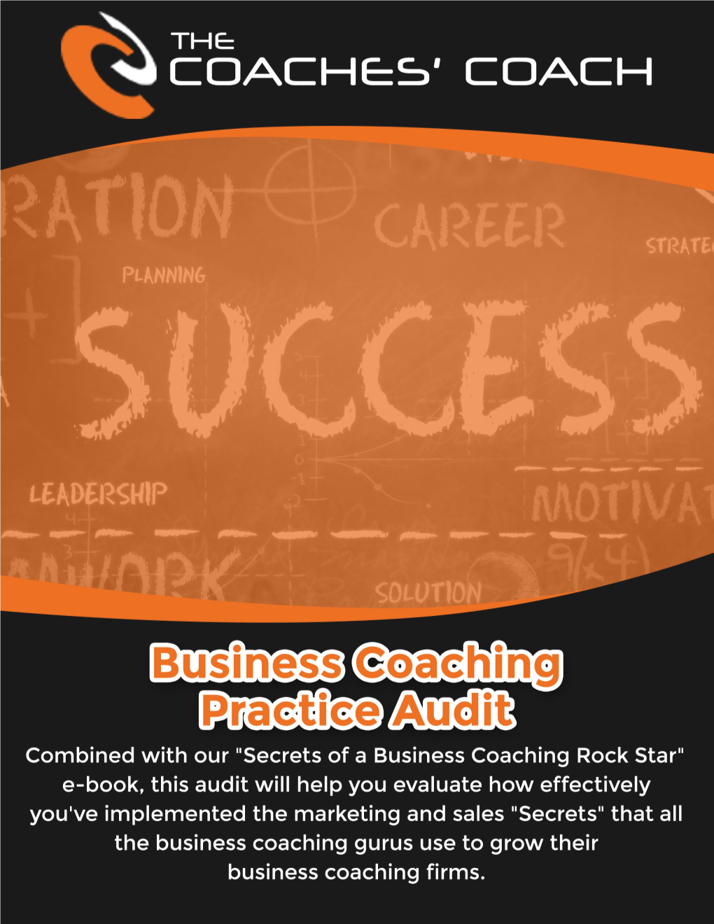 Business Coaching Practice Audit