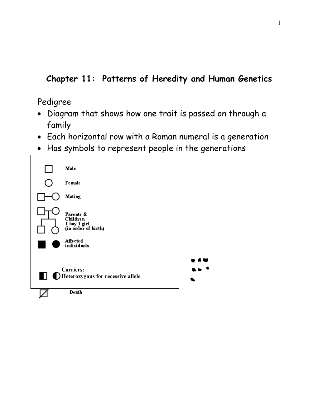 Chapter 12: Patterns of Heredity and Human Genetics