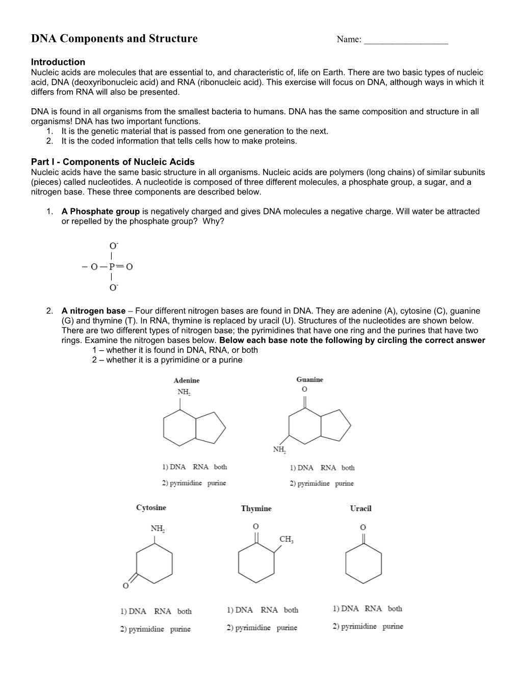 DNA Components and Structure