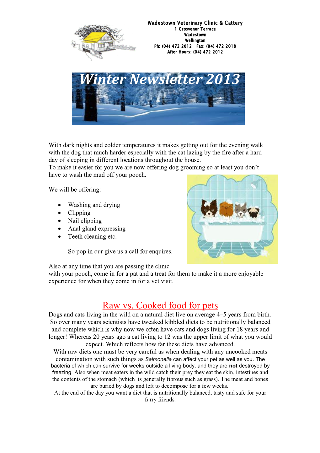 Winter Newsletter 2013