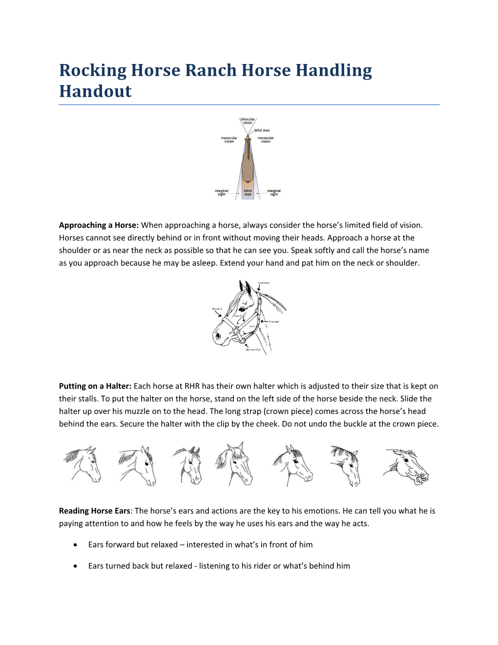 Rocking Horse Ranch Horse Handling Handout