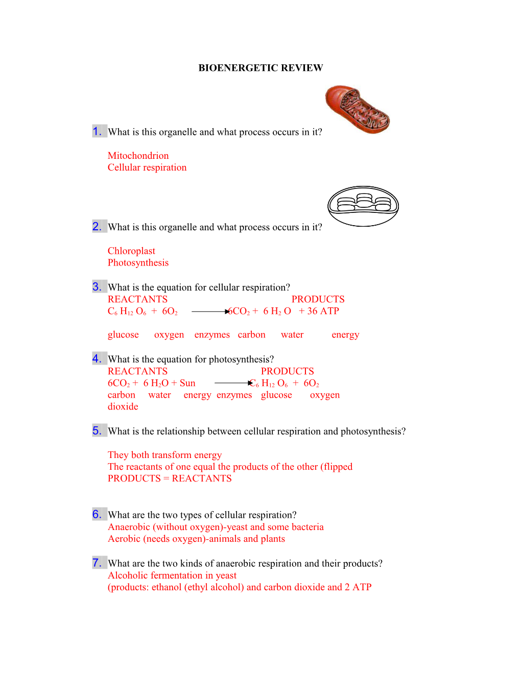 Bioenergetic Review