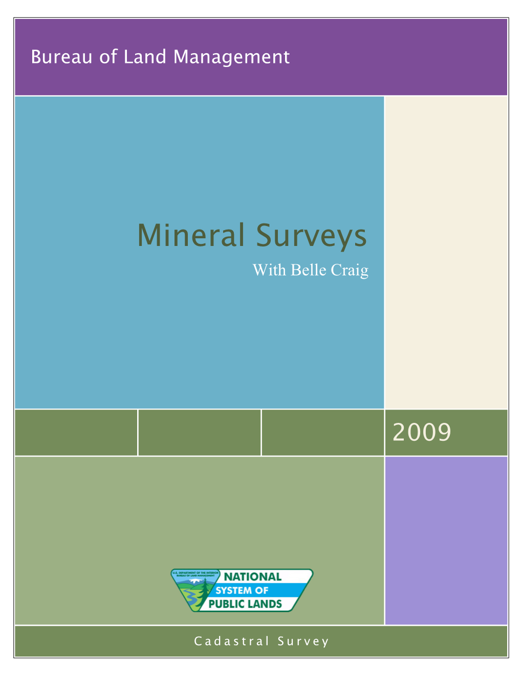 Mineral Surveys