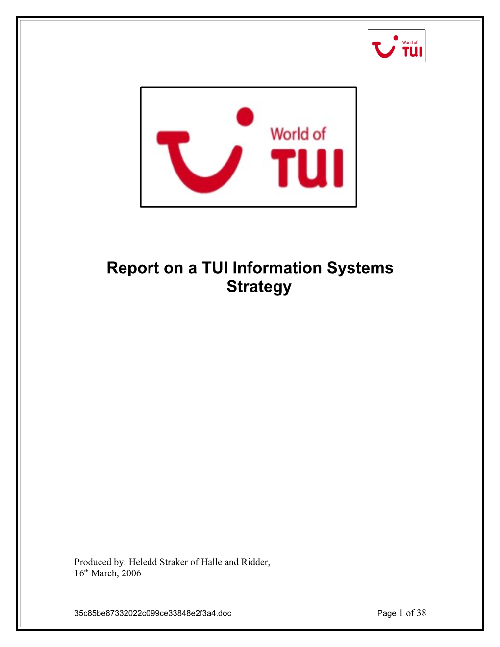 Report on a TUI Information Systems Strategy