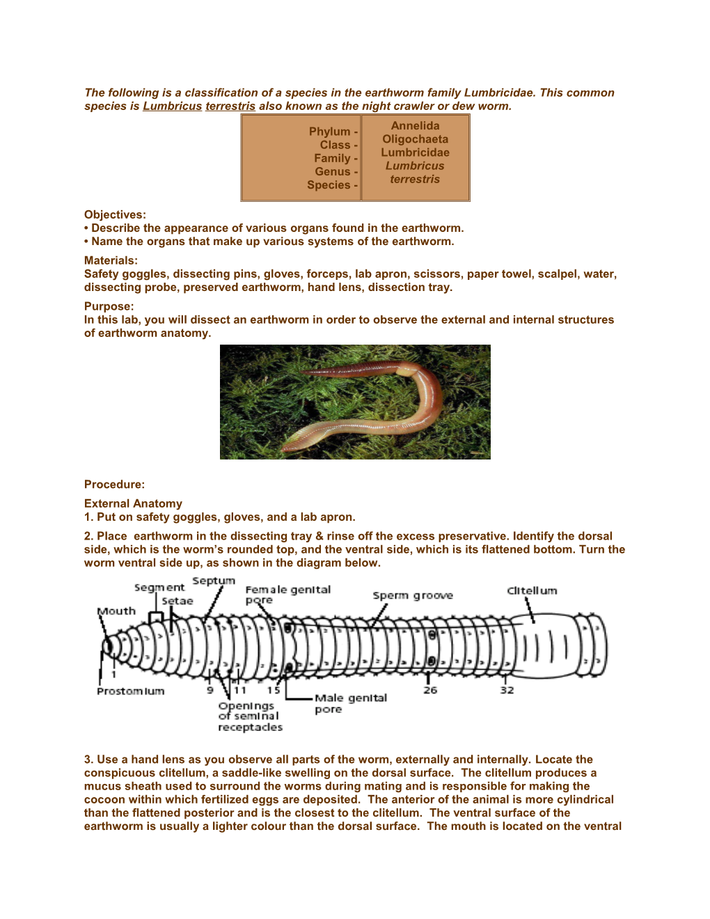 The Following Is a Classification of a Species in the Earthworm Family Lumbricidae. This