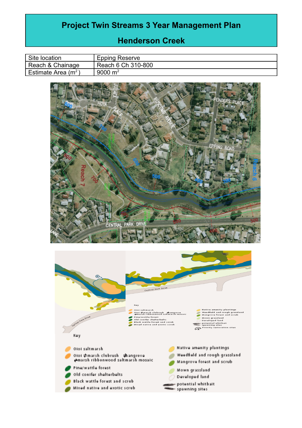 Project Twin Streams Site Assessment