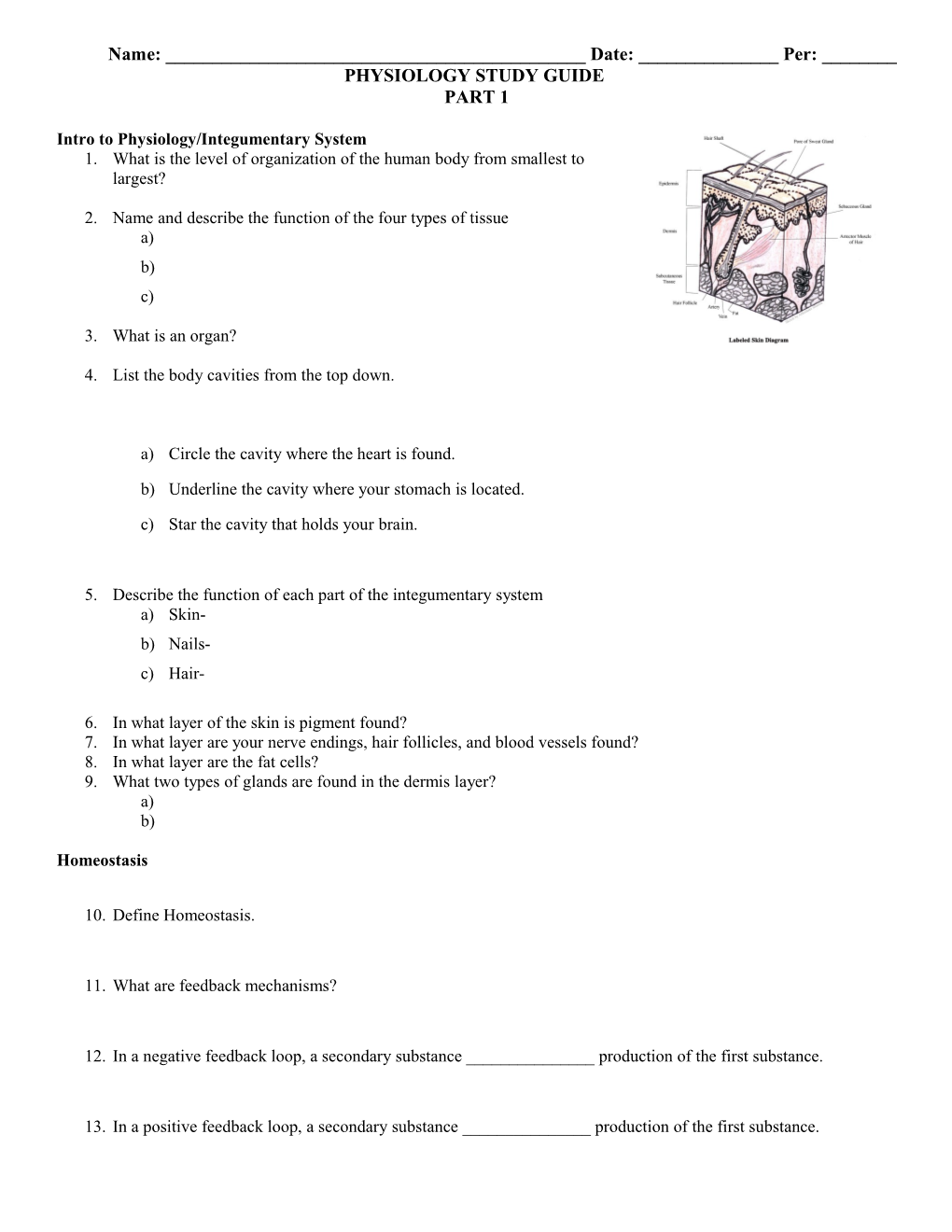 Intro to Physiology/Integumentary System