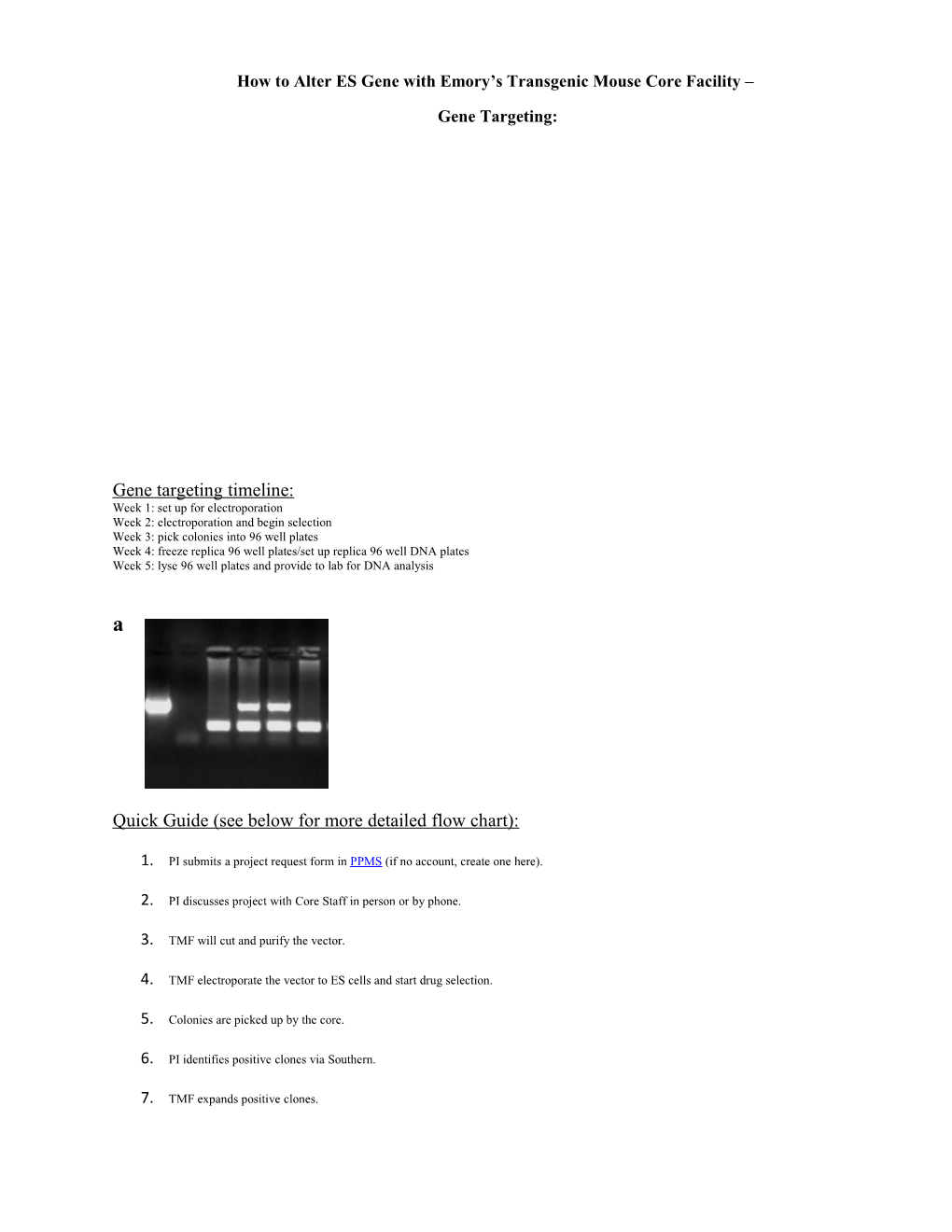 How to Alteres Gene with Emory S Transgenic Mouse Core Facility