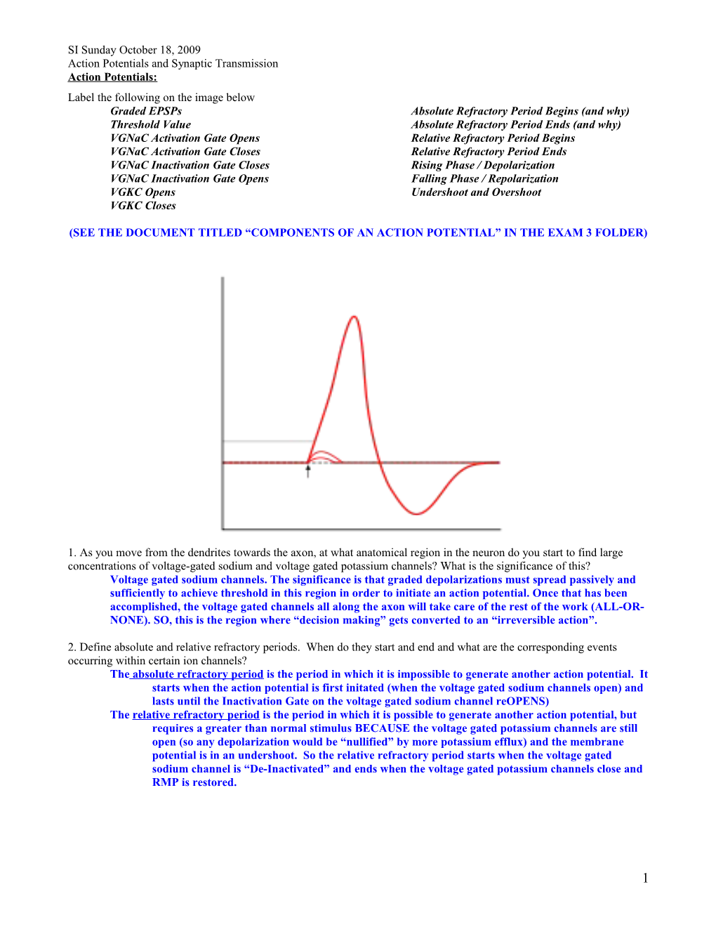 Action Potentials and Synaptic Transmission