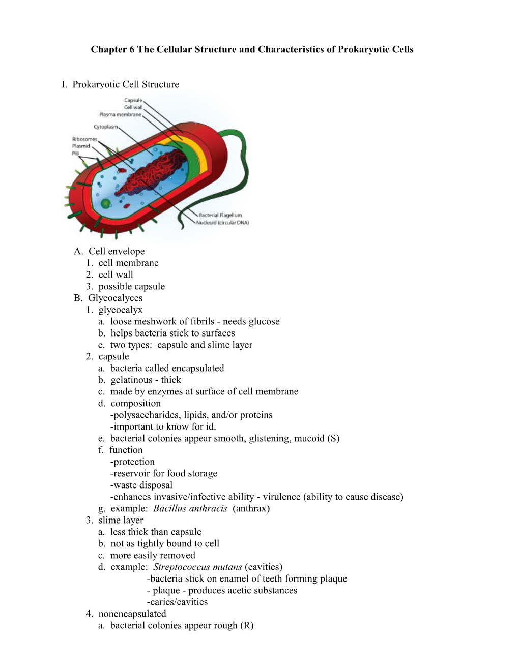 Chapter 6 the Cellular Structure and Characteristics of Prokaryotic Cells