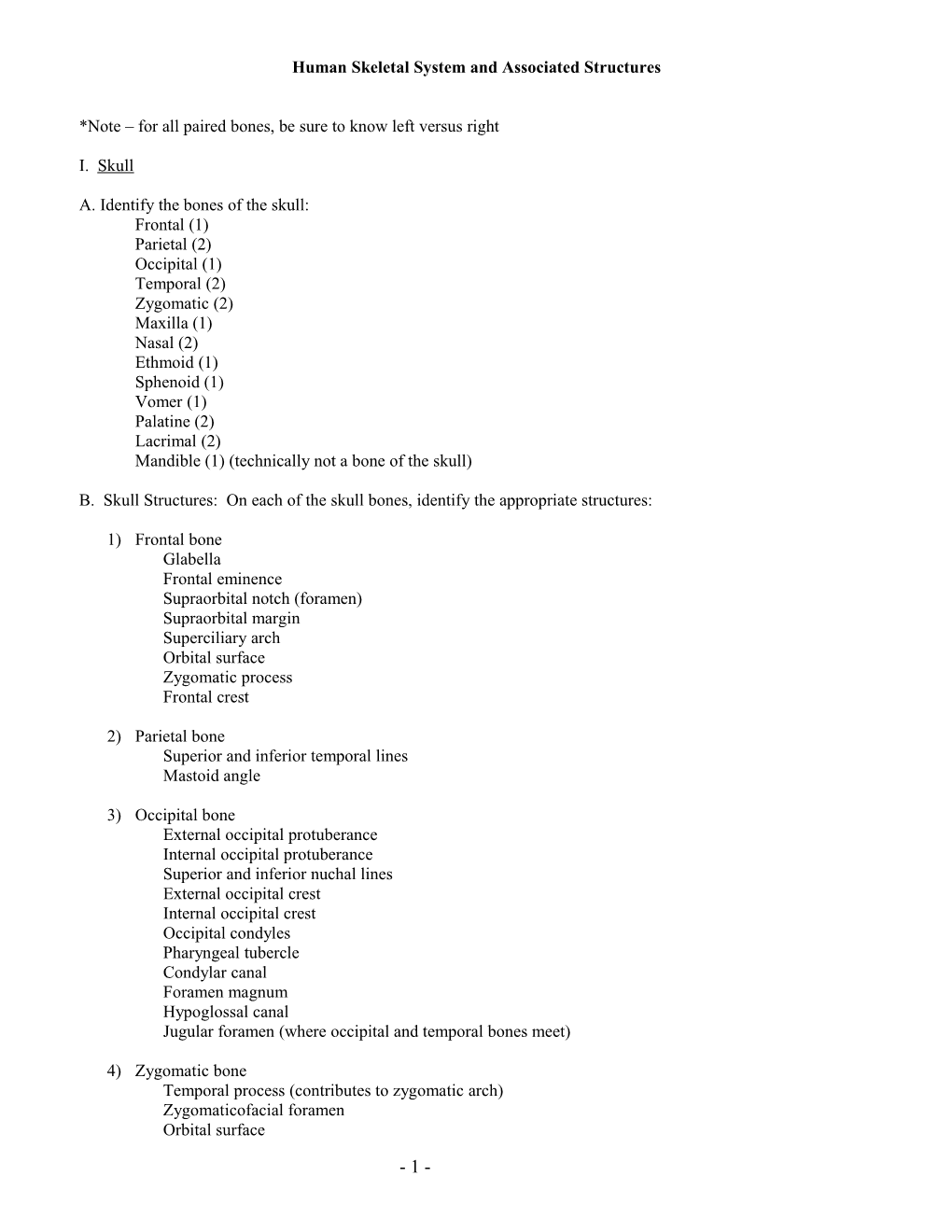 Human Skeletal System and Associated Structures