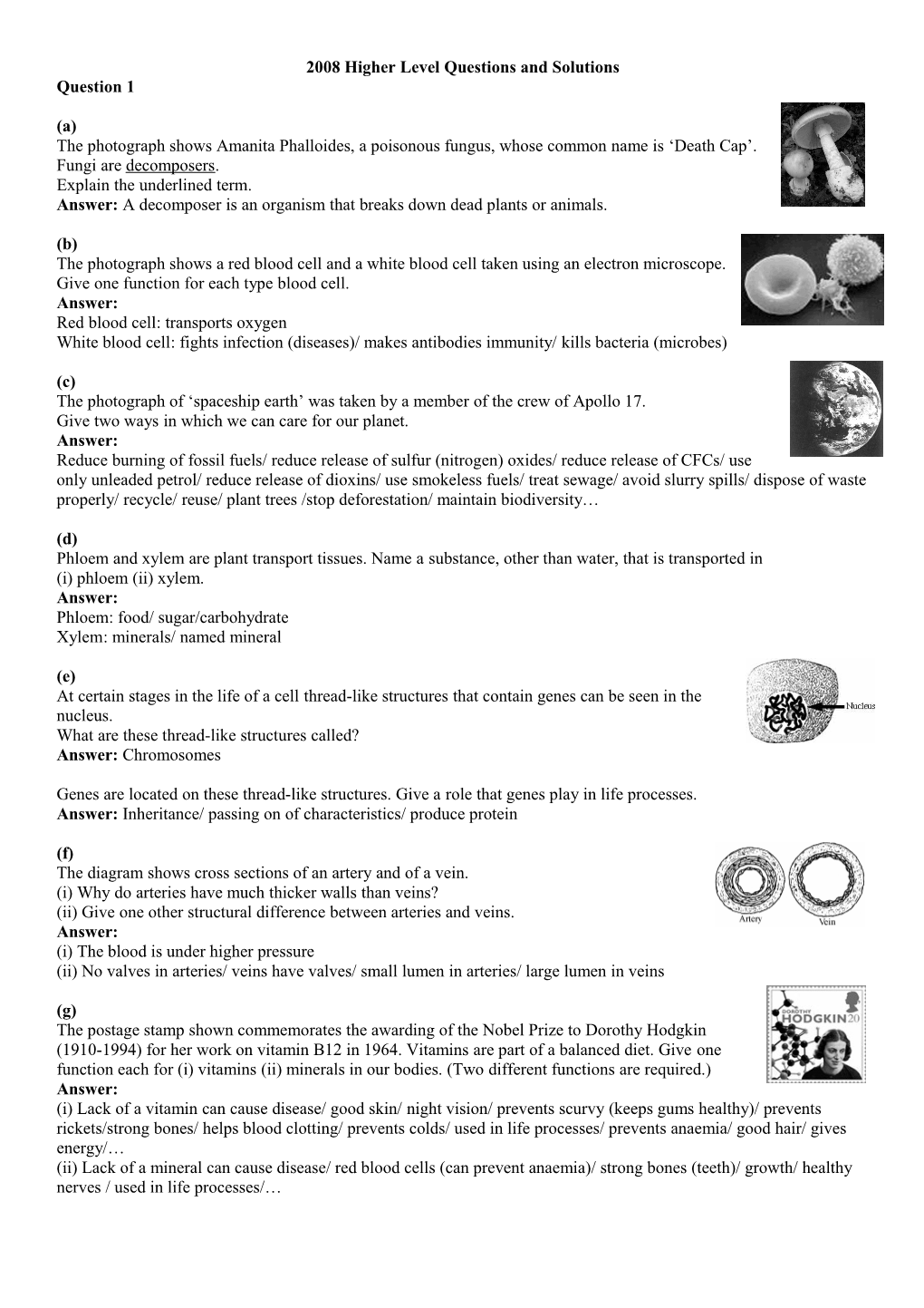 2008 Higher Level Questions and Solutions