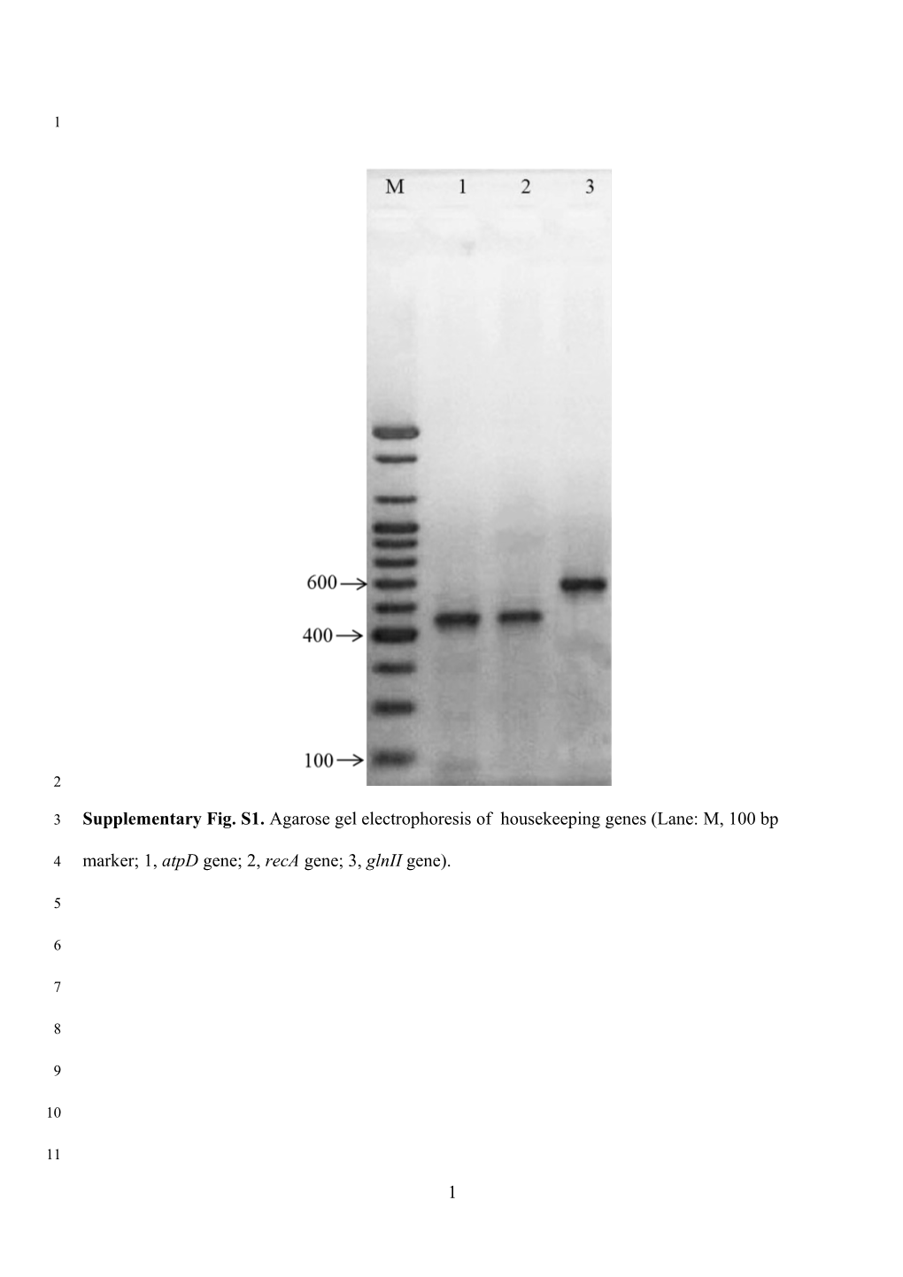 Supplementary Table S1. Isolates and Reference Strains Used in This Study