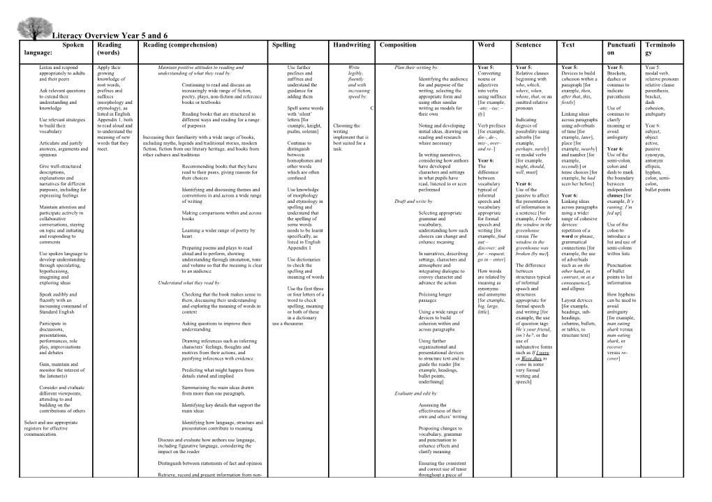 Literacy Overview Year 5 and 6