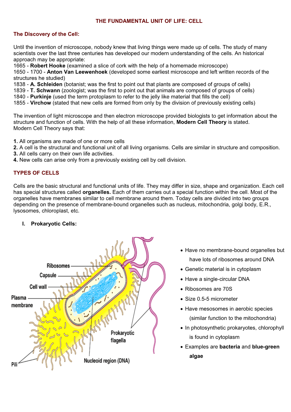 The Fundamental Unit of Life: Cell