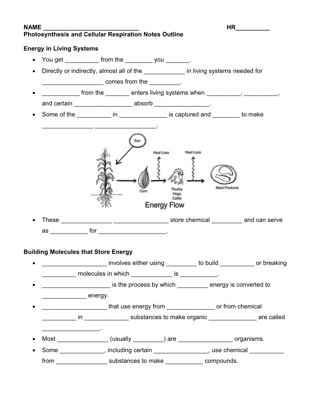 Photosynthesis and Cellular Respiration Notes Outline