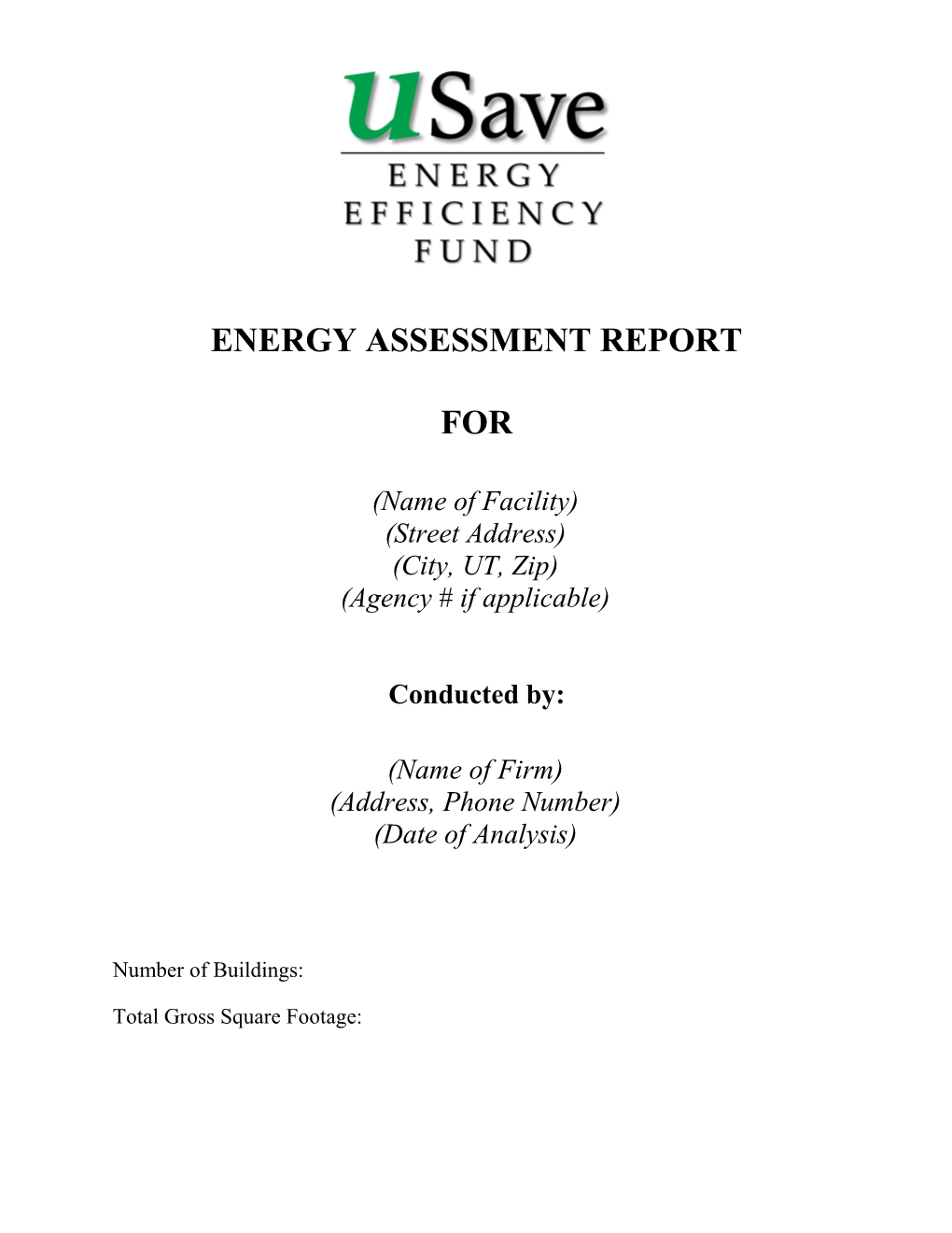 Energy Assessment Report