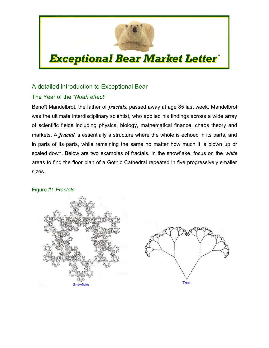 A Detailed Introduction to Exceptional Bear