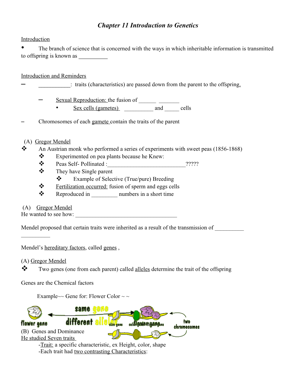 Chapter 27 Mendelian Genetics