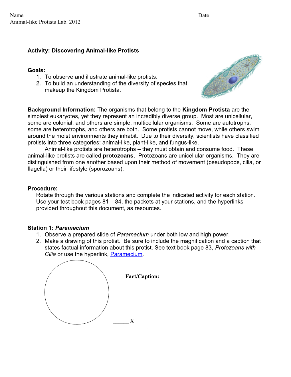 Activity: Discovering Protists