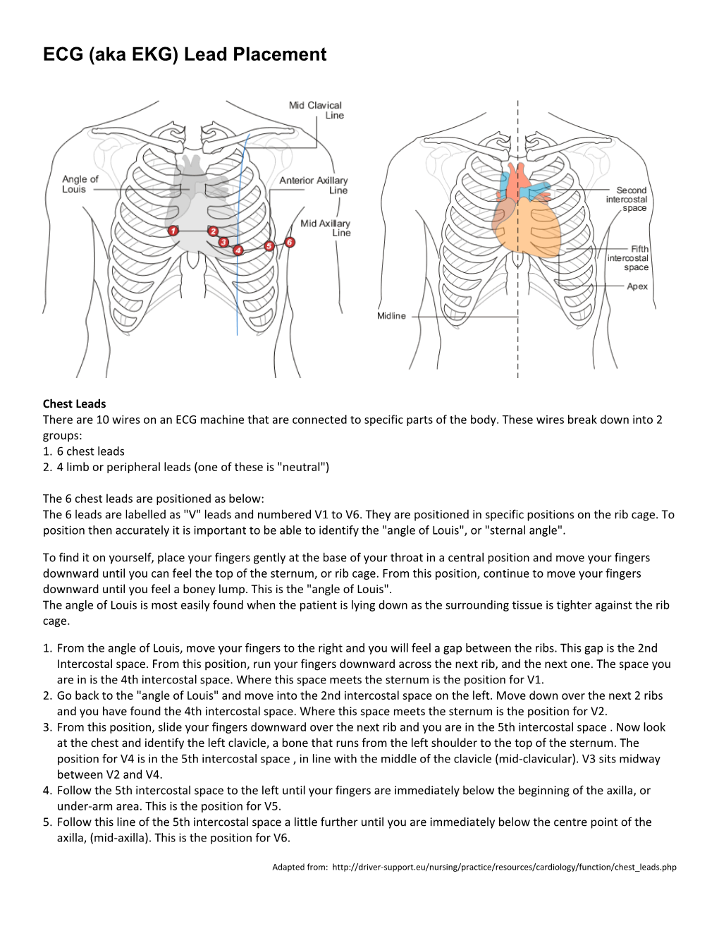 ECG (Aka EKG) Lead Placement