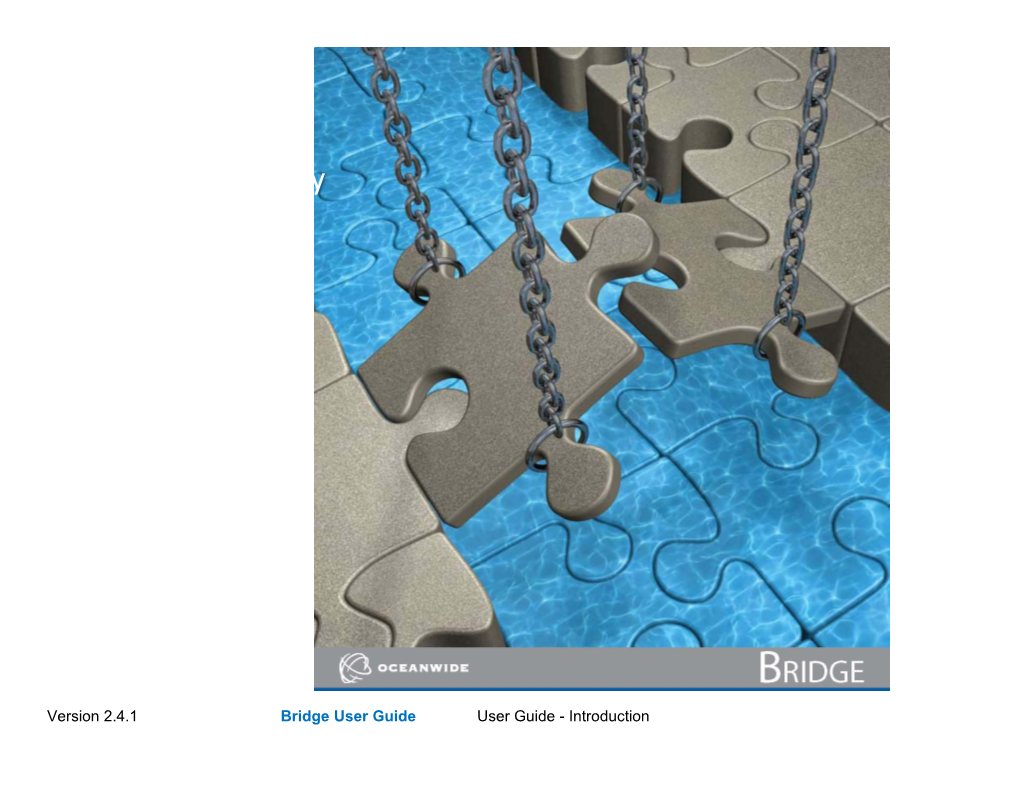 Oceanwide Bridge User Guide - Introduction