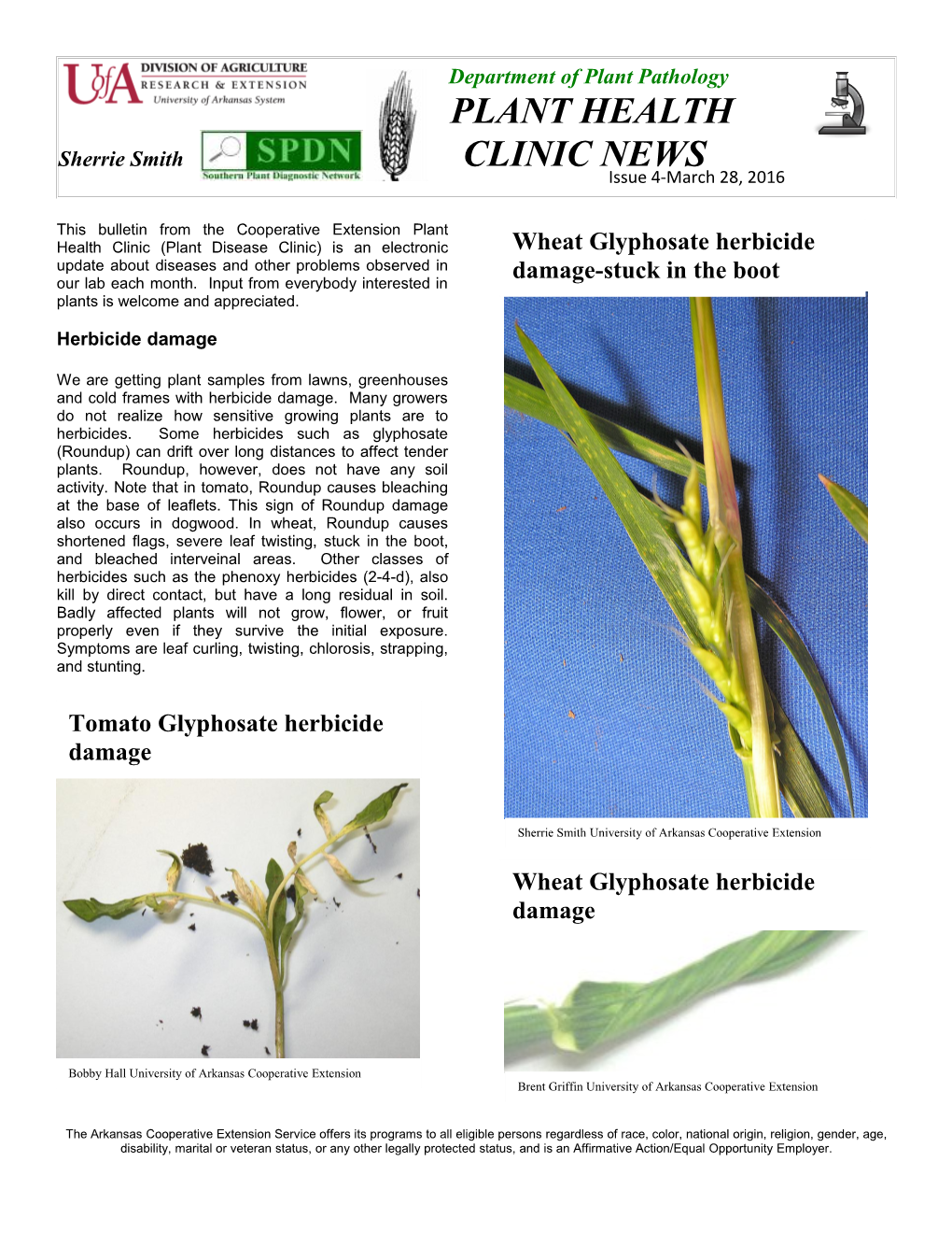 This Is the First Bulletin from the Cooperative Extension Plant Health Clinic (Plant Disease