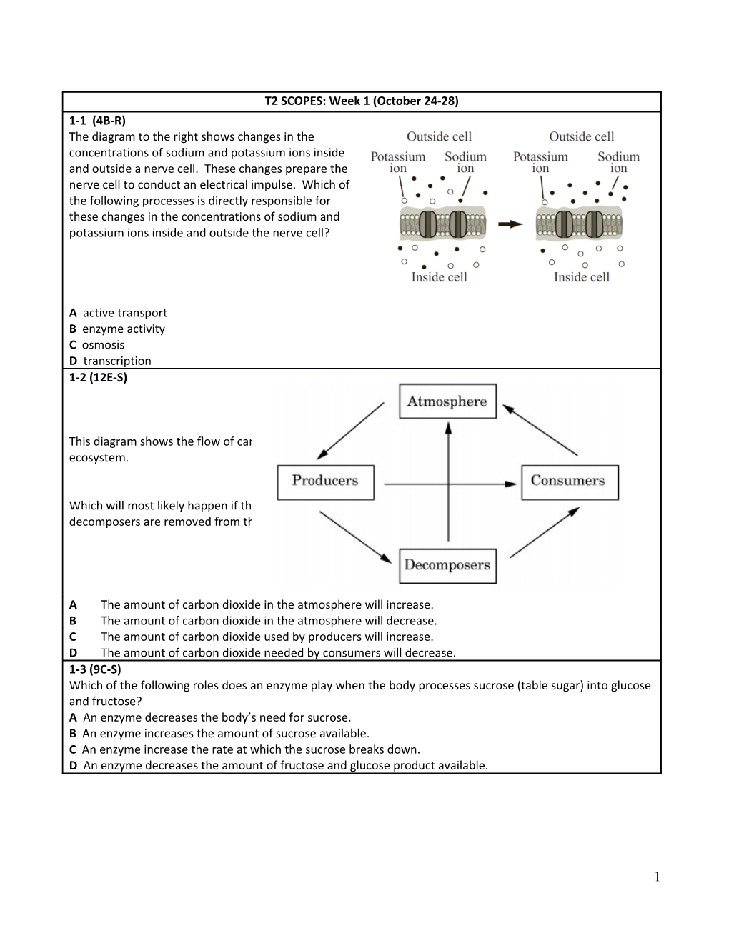 V Attachment of Double-Stranded Chromosomes to the Spindle Apparatus