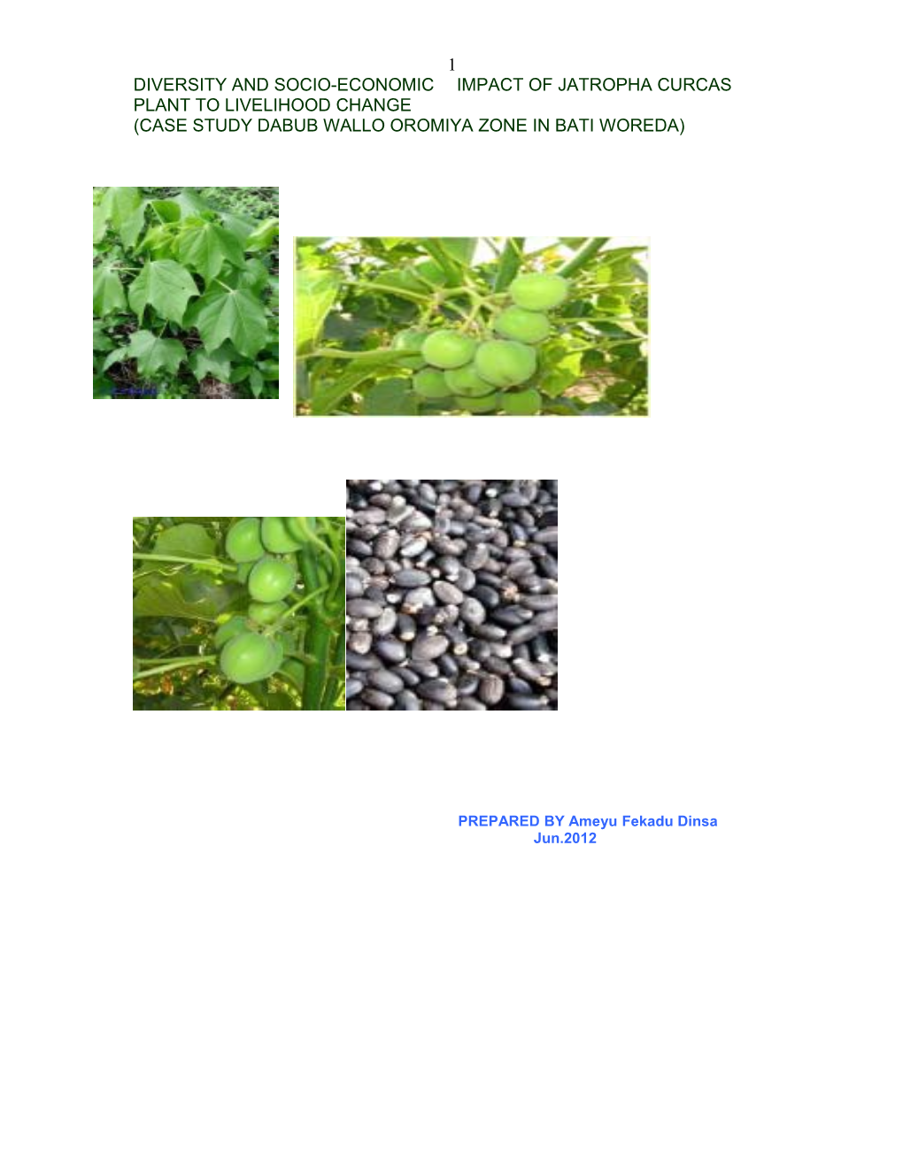 Diversity and Socio-Economic Impact of Jatropha Curcas Plant to Livelihood Change