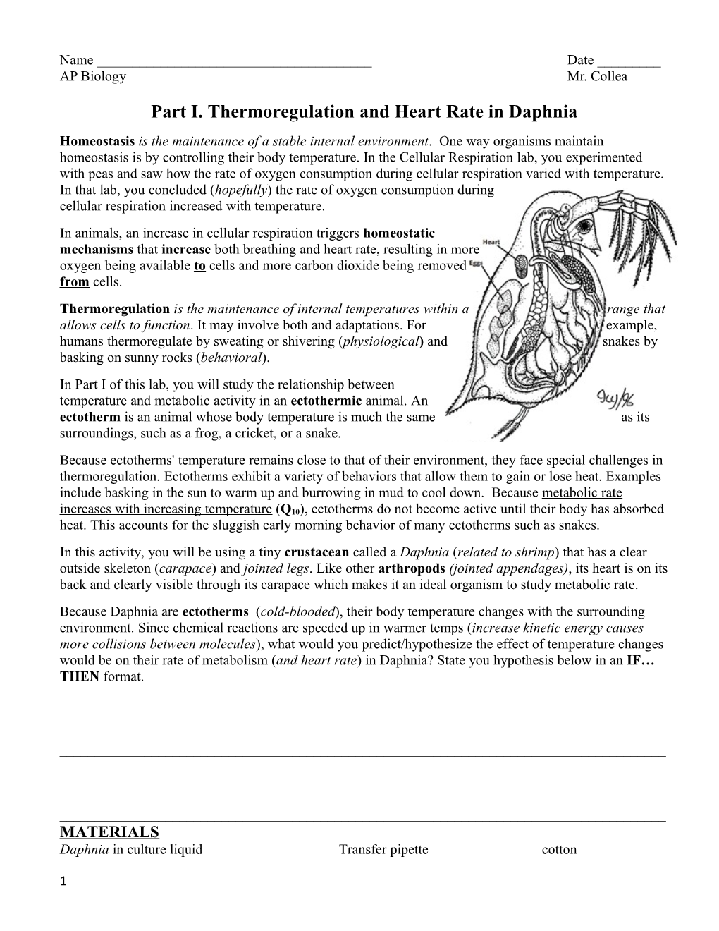 Part I. Thermoregulation and Heart Rate in Daphnia