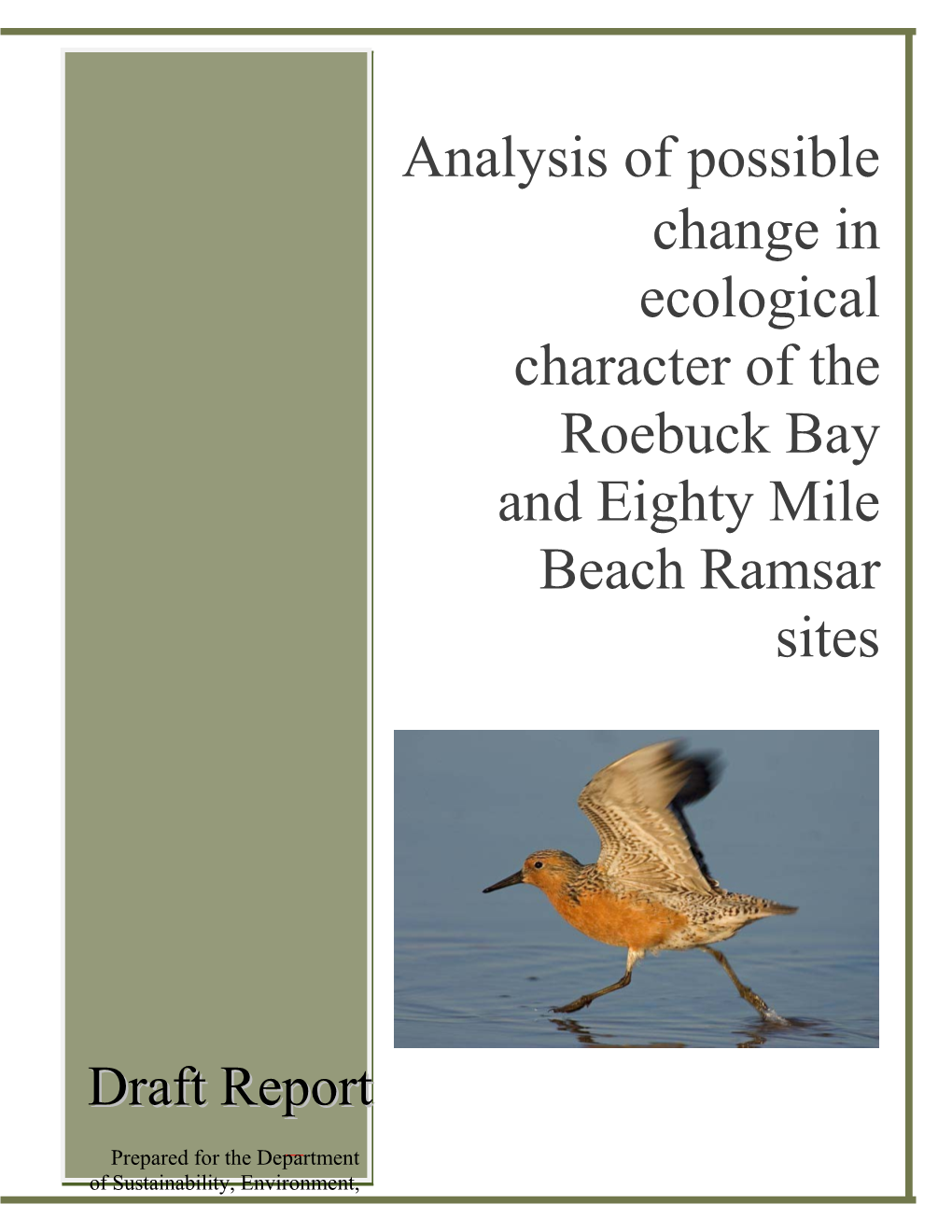 Analysis of Possible Change in Ecological Character of the Roebuck Bay and Eighty Mile