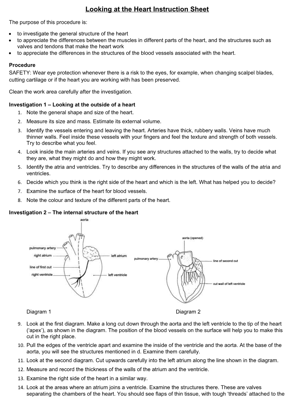 Looking at the Heart Instruction Sheet