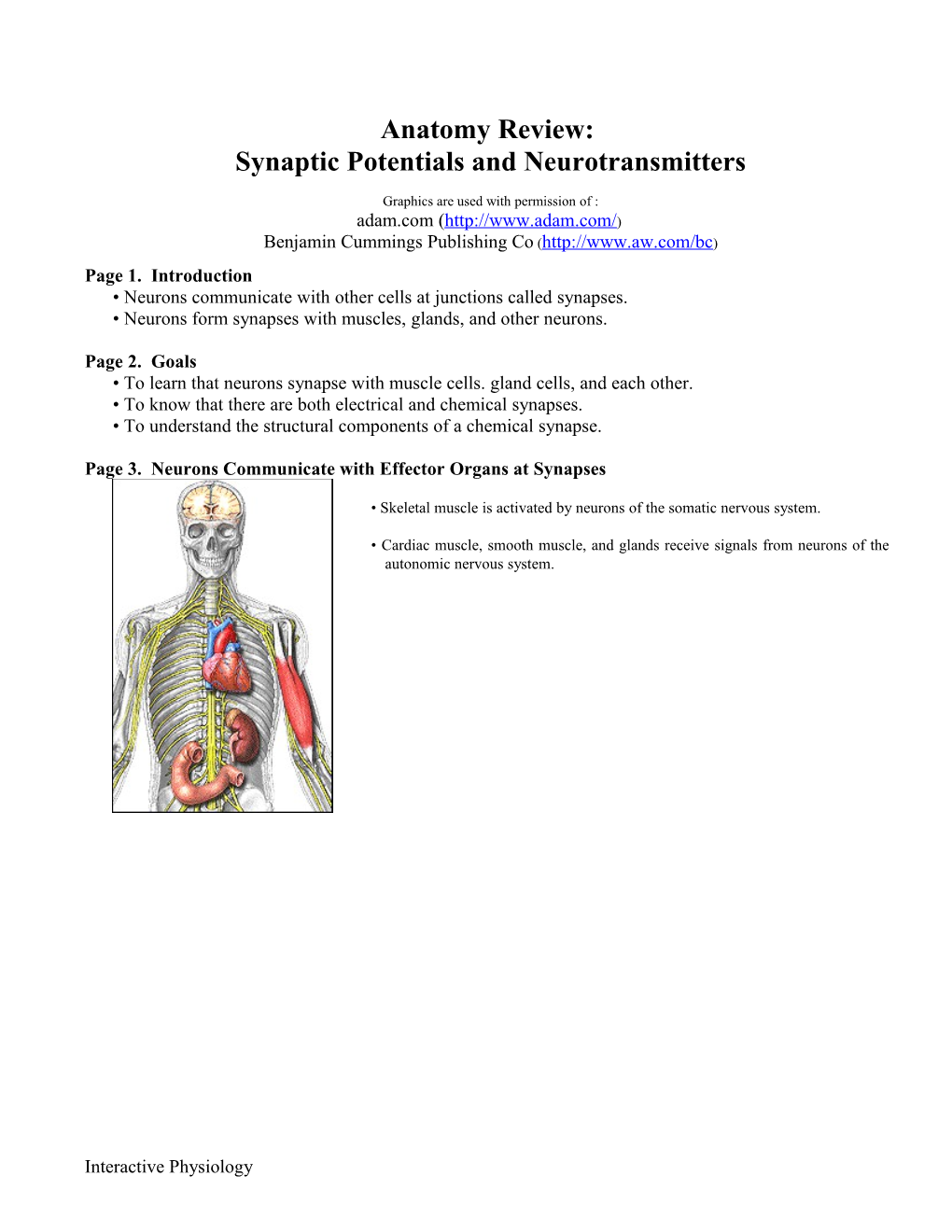Synaptic Potentials and Neurotransmitters
