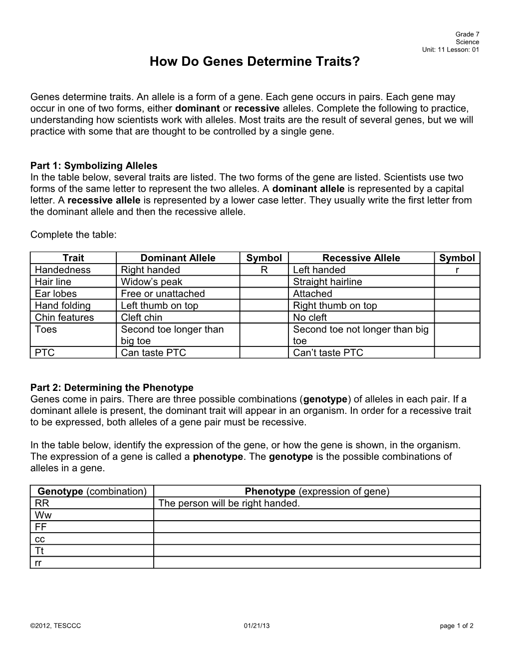 How Do Genes Determine Traits