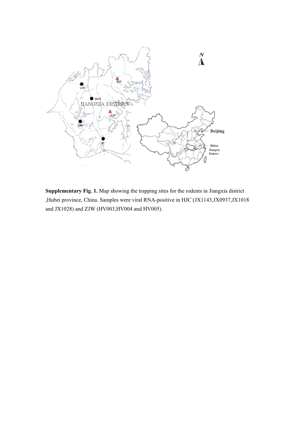 Supplementary Tabel 1. Primers Used for Sequencing the Whole Genome of Hantavirus Strain HV004