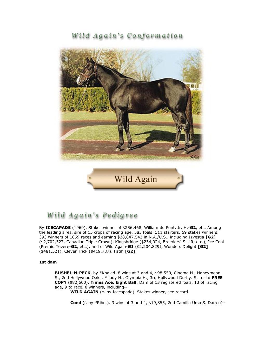 WILD AGAIN (C. by Icecapade). Stakes Winner, See Record